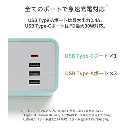 치이카와 humor AC & USB TAP
