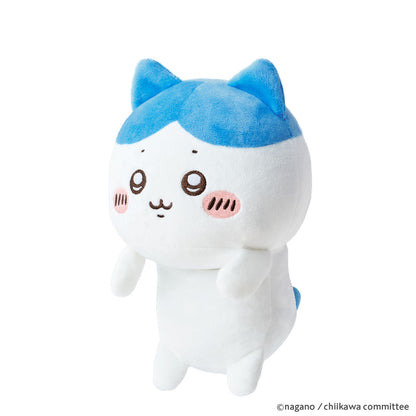 치이카와 훈바루즈 (하치와레)