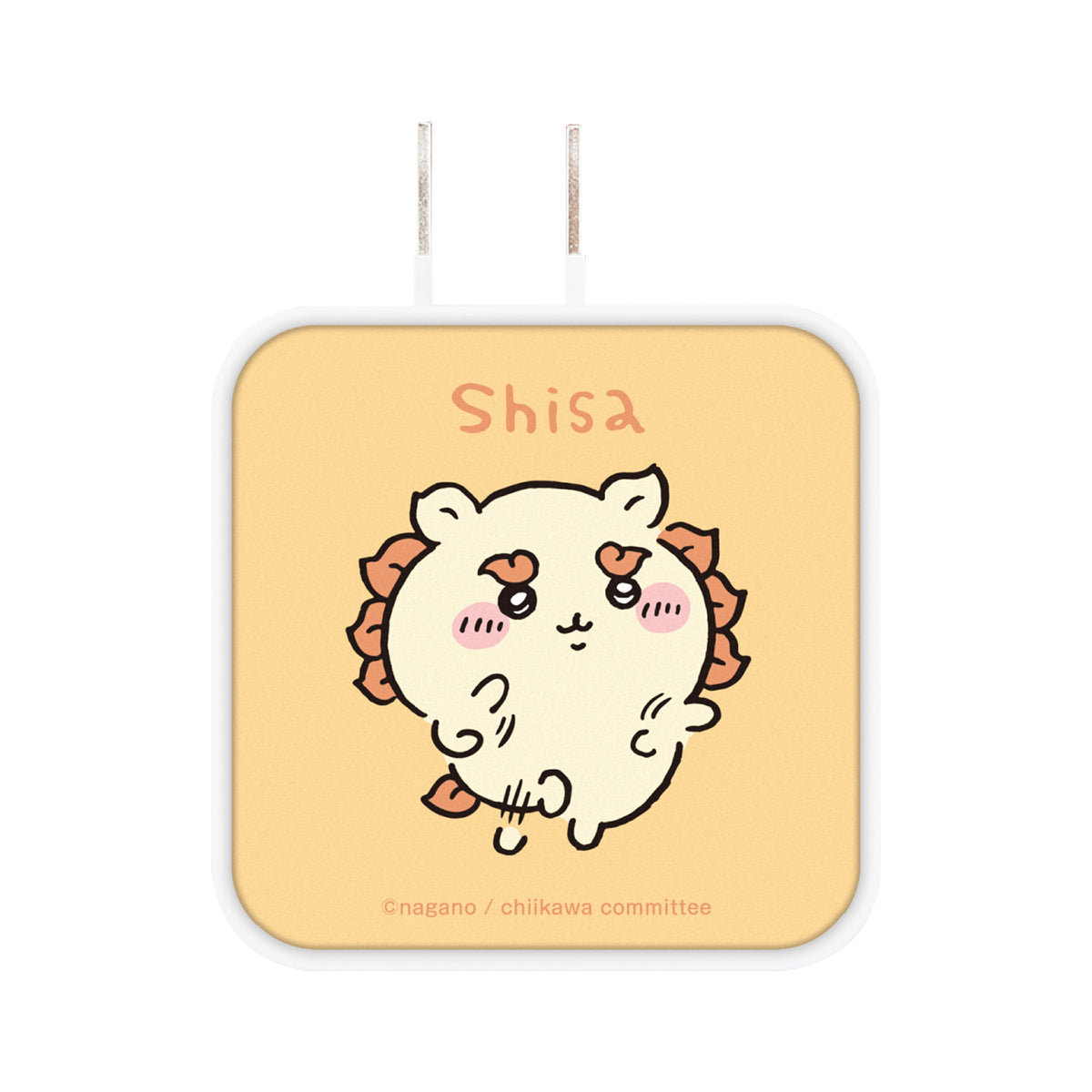 치이카와 USB/USB Type-C AC 어댑터 (시사)