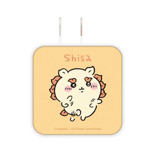 치이카와 USB/USB Type-C AC 어댑터 (시사)