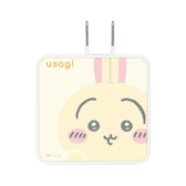 치이카와 USB Type-C AC 어댑터 (우사기)