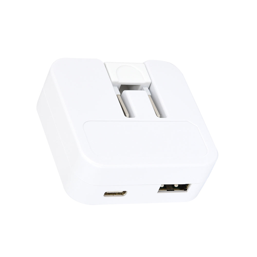 치이카와 USB/USB Type-C AC 어댑터 (하치와레)